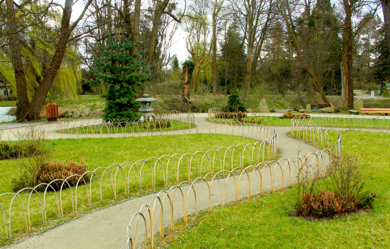 Photo wallpaper grass, park, alley