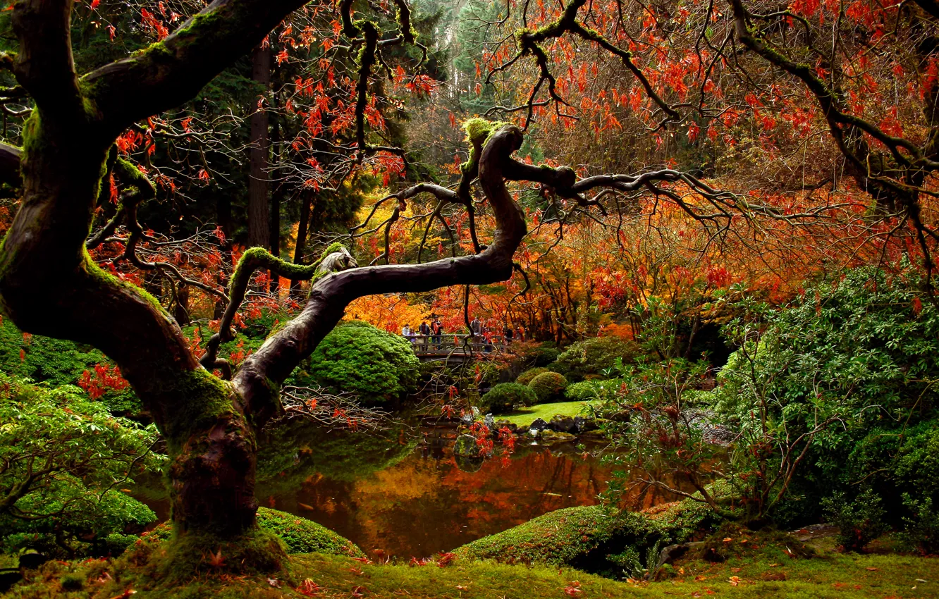 Photo wallpaper autumn, bridge, nature, Park, people, garden, Japanese