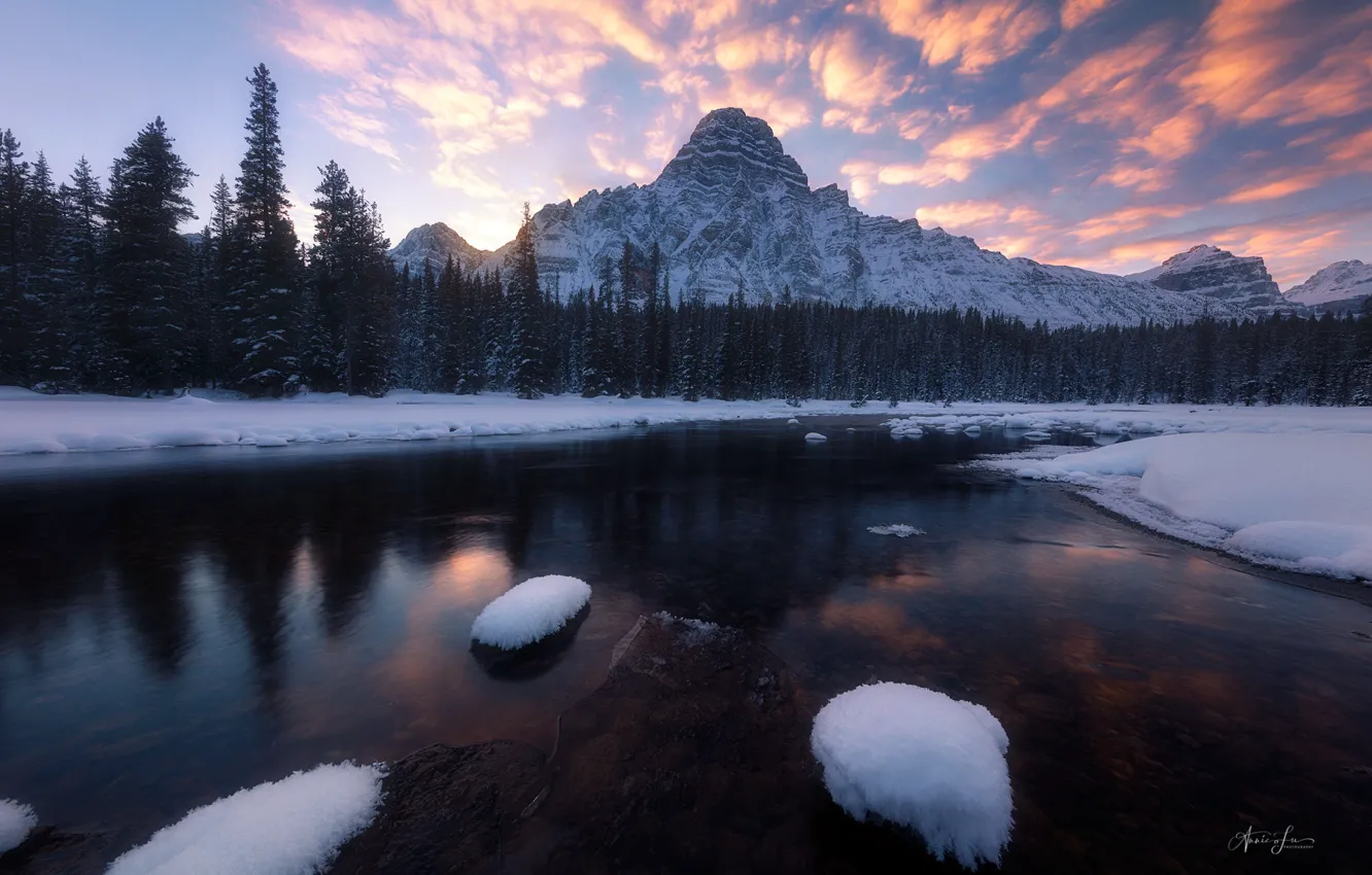 Photo wallpaper winter, forest, the sky, snow, sunset, mountains, river