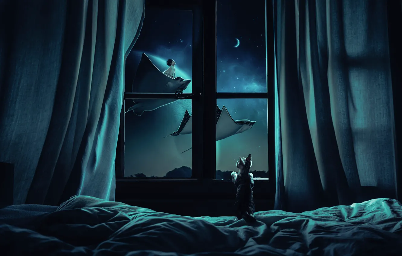 Photo wallpaper cat, dream, glass, space, stars, light, fish, flight