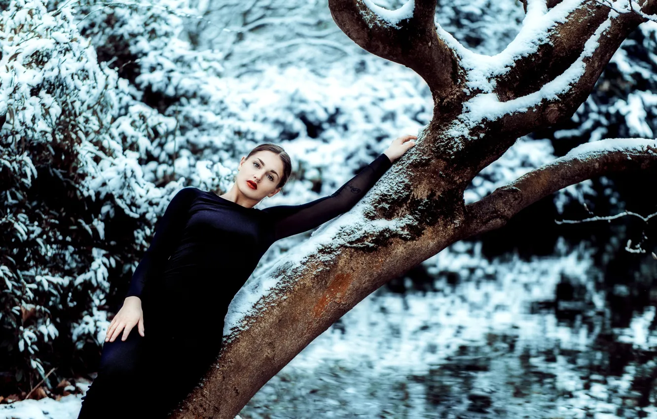 Photo wallpaper winter, girl, pose, tree, mood, figure, dress, Andreas-Joachim Lins