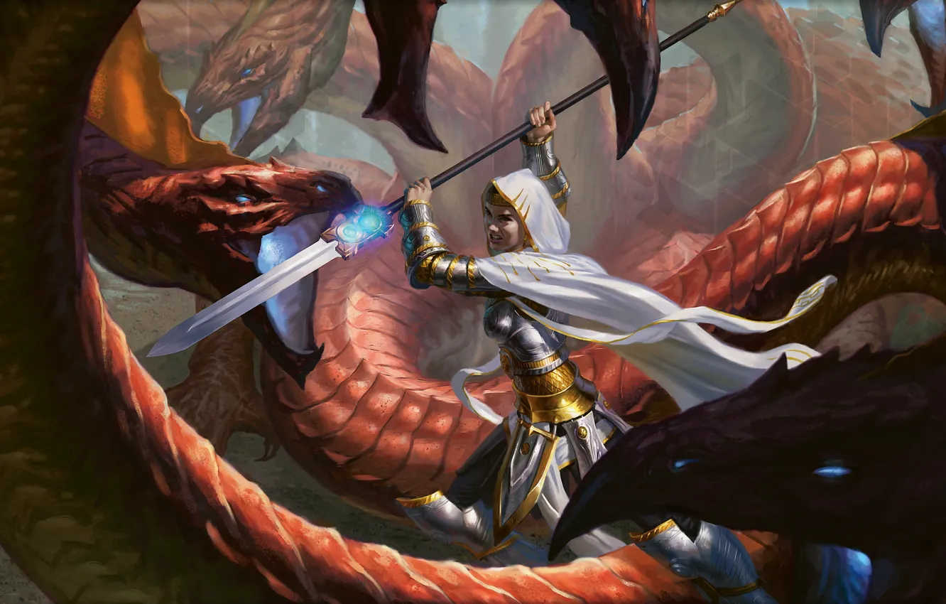 Photo wallpaper girl, dragon, armor, warrior, blow, the battle, Magic The Gathering, mouth