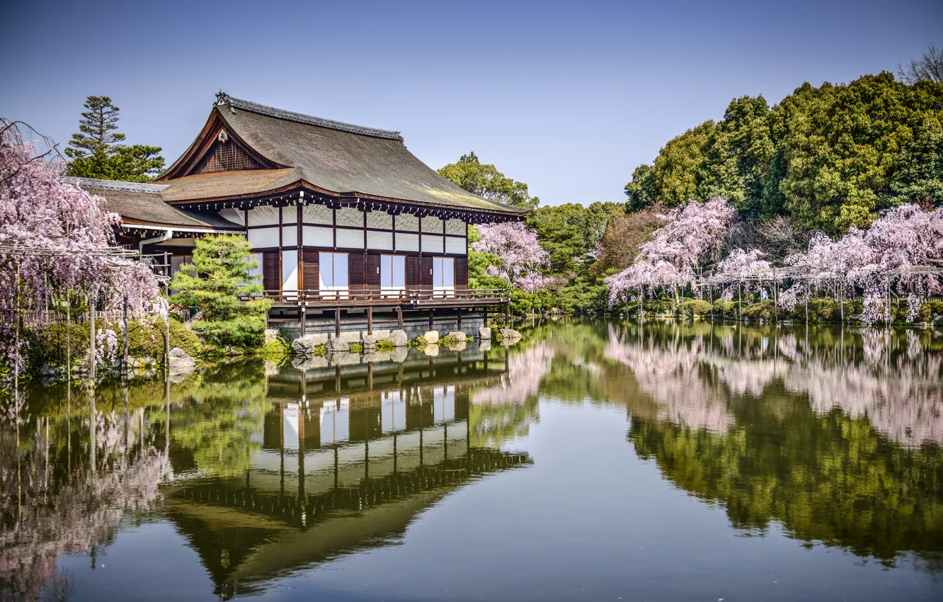 Photo wallpaper trees, lake, pond, Park, reflection, spring, Japan, Sakura