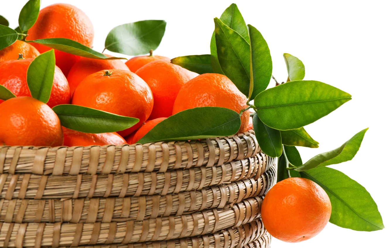 Photo wallpaper leaves, citrus, tangerines