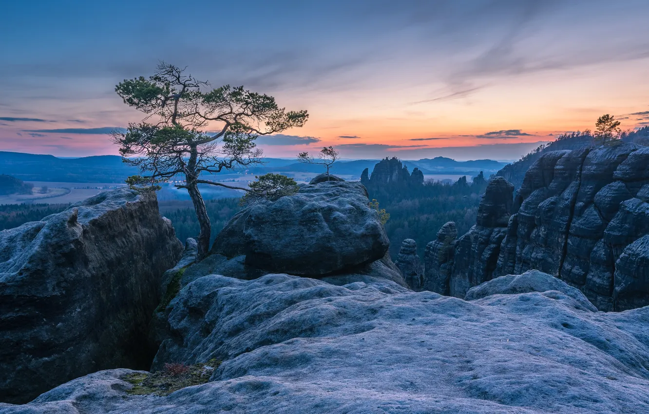Photo wallpaper the sky, clouds, trees, landscape, sunset, mountains, nature, rock