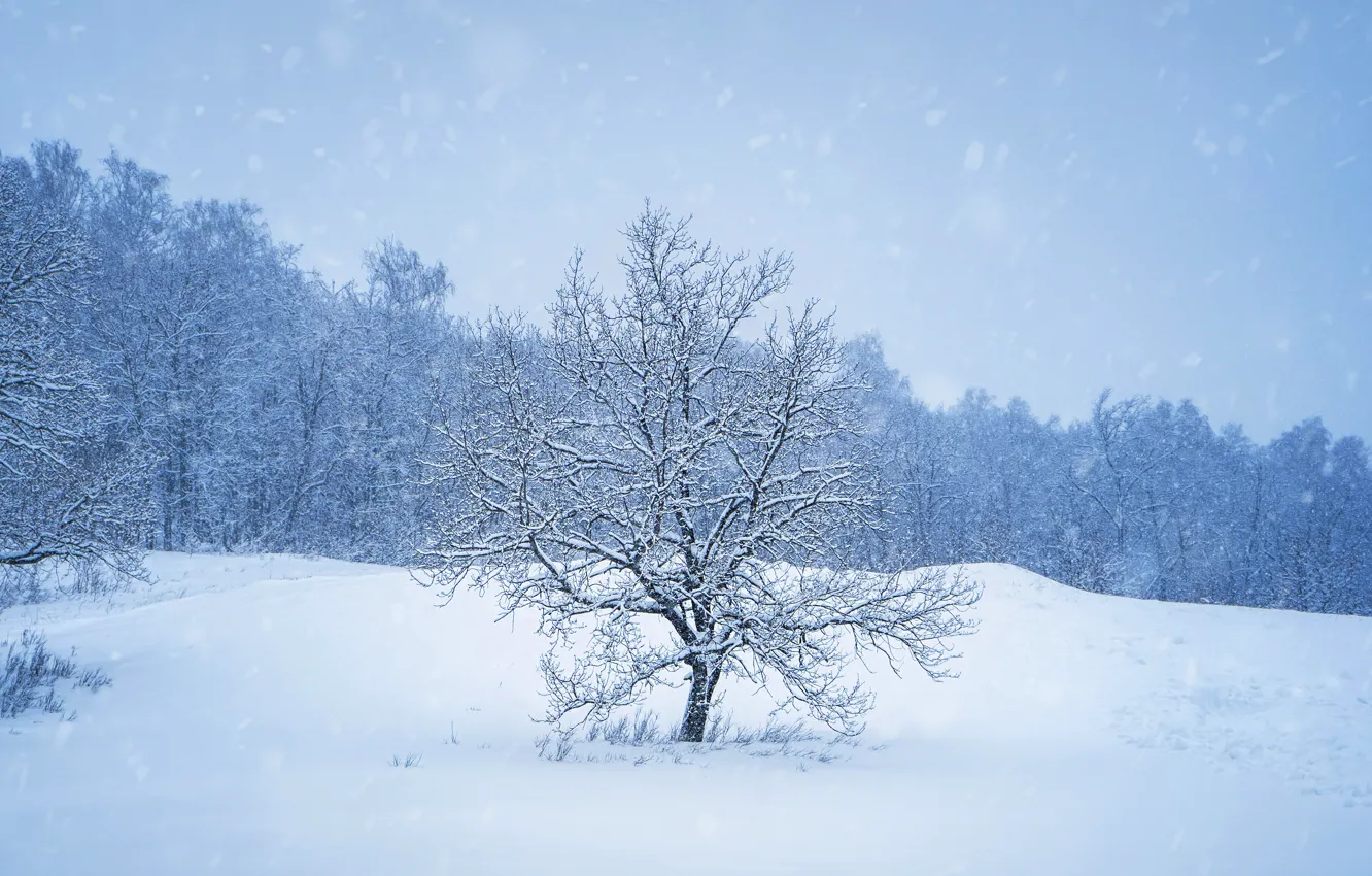 Photo wallpaper winter, nature, snowfall, Bashkiria
