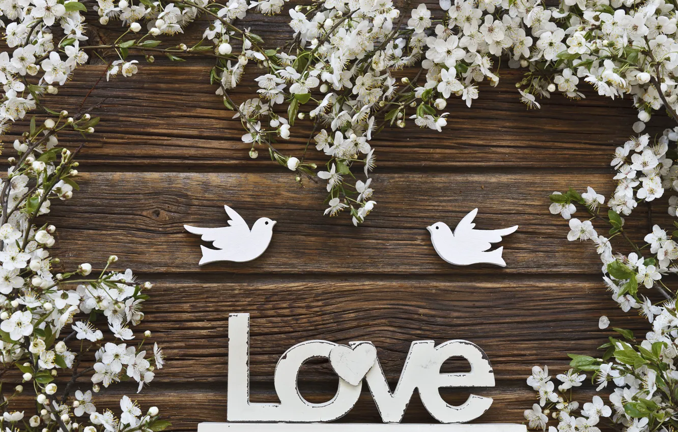 Photo wallpaper flowers, spring, love, white, white, wood, blossom, flowers