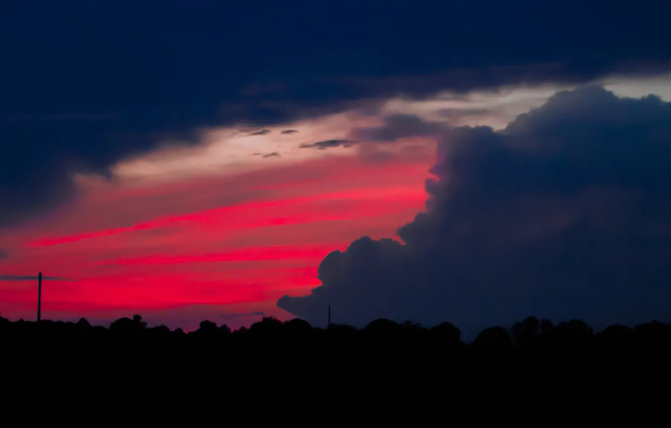 Photo wallpaper the sky, trees, clouds, the evening, silhouette, panorama, glow