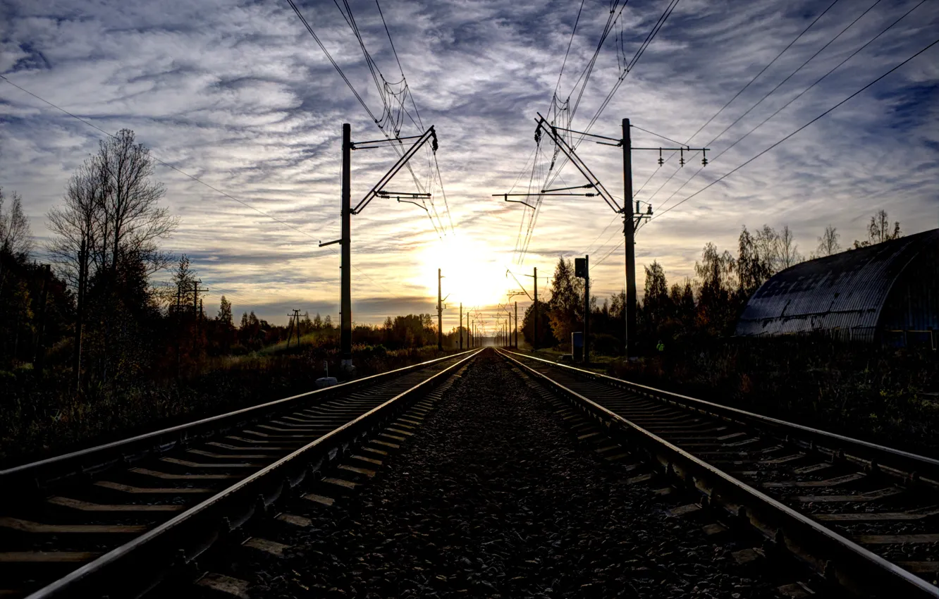 Photo wallpaper forest, the sky, the sun, clouds, dawn, posts, wire, rails