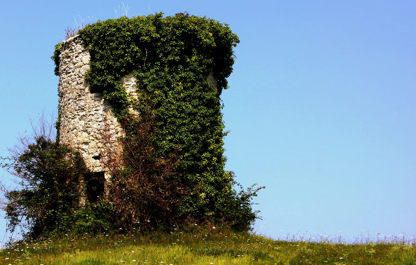 Photo wallpaper the sky, grass, tower, ruins, ivy