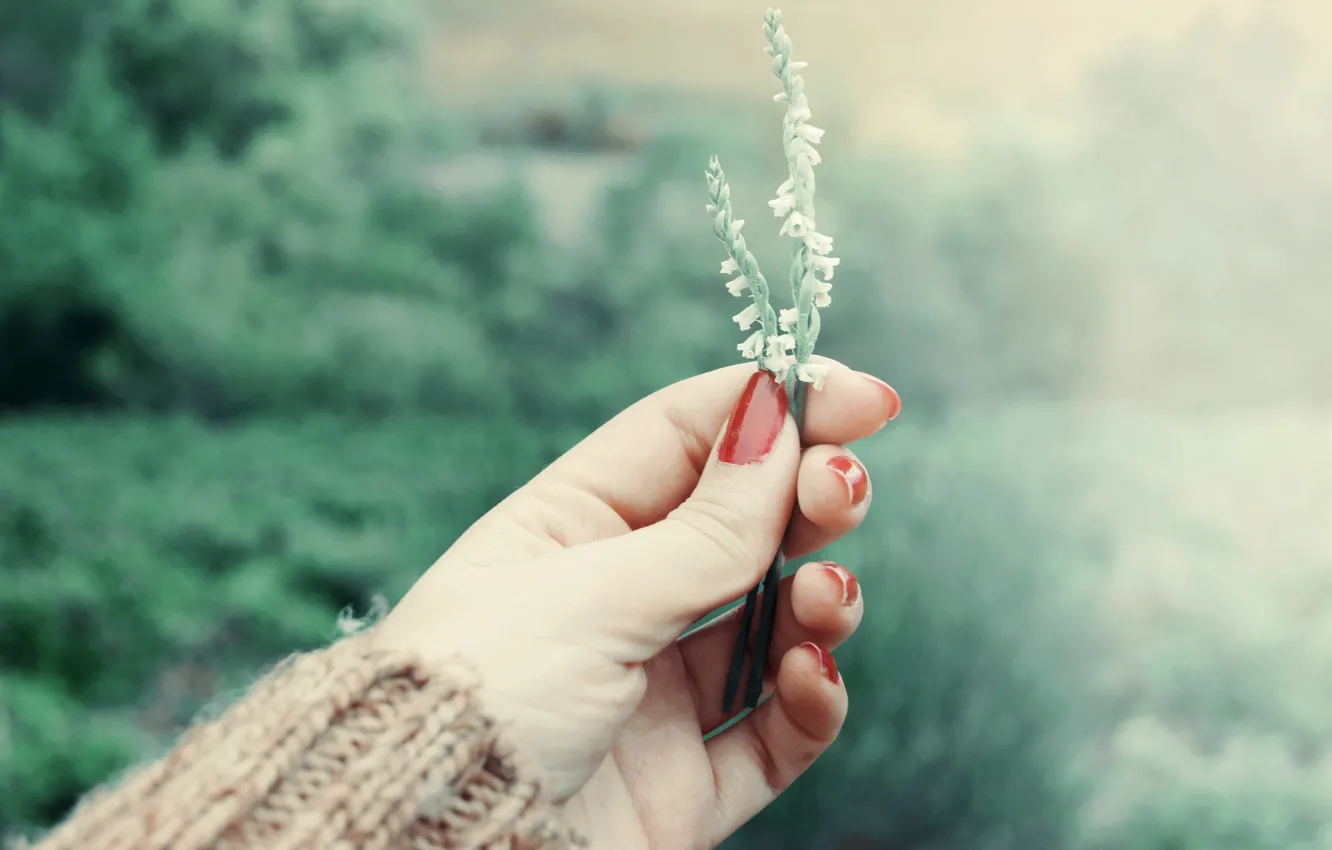 Photo wallpaper hands, fingers, manicure