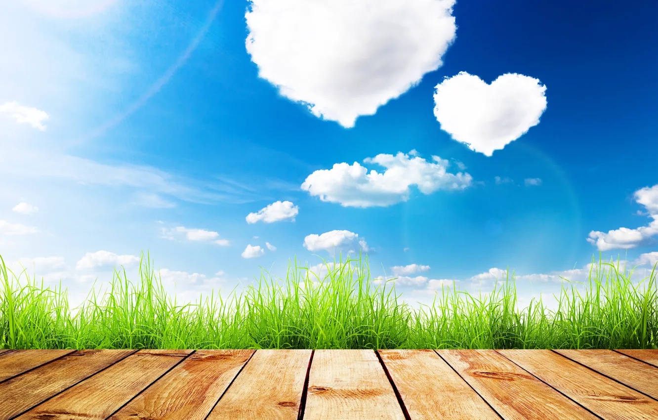 Photo wallpaper greens, summer, the sky, grass, the sun, clouds, Board, hearts