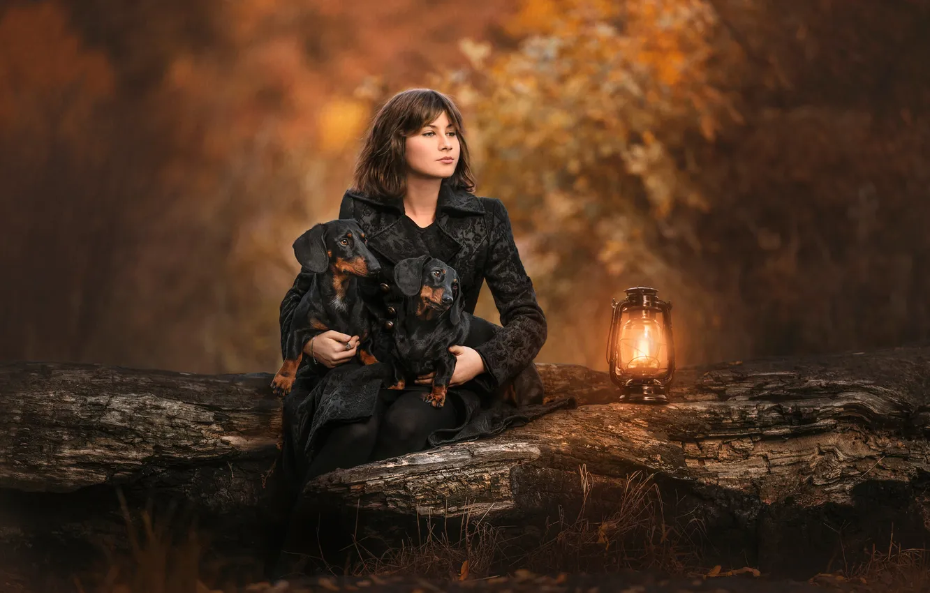 Photo wallpaper girl, nature, dog, Dachshund