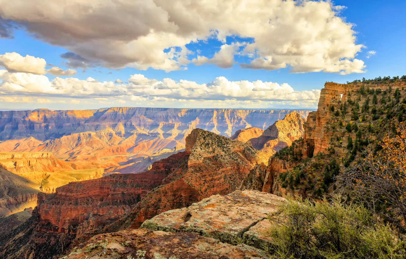 Photo wallpaper AZ, USA, Arizona, Grand Canyon National Park, Coconino