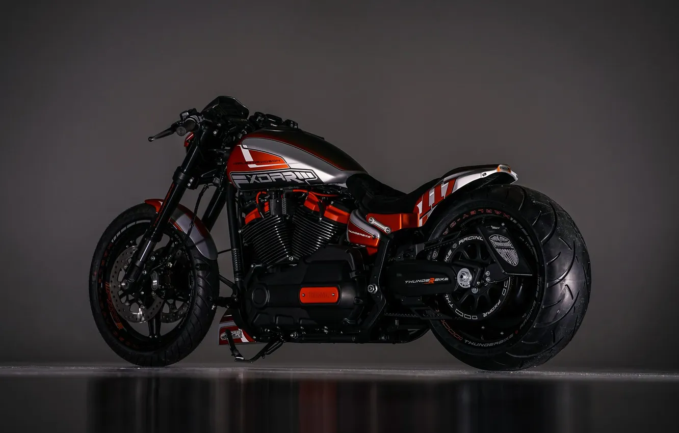 Photo wallpaper motorcycle, Harley Davidson, bike, Thunderbike customs