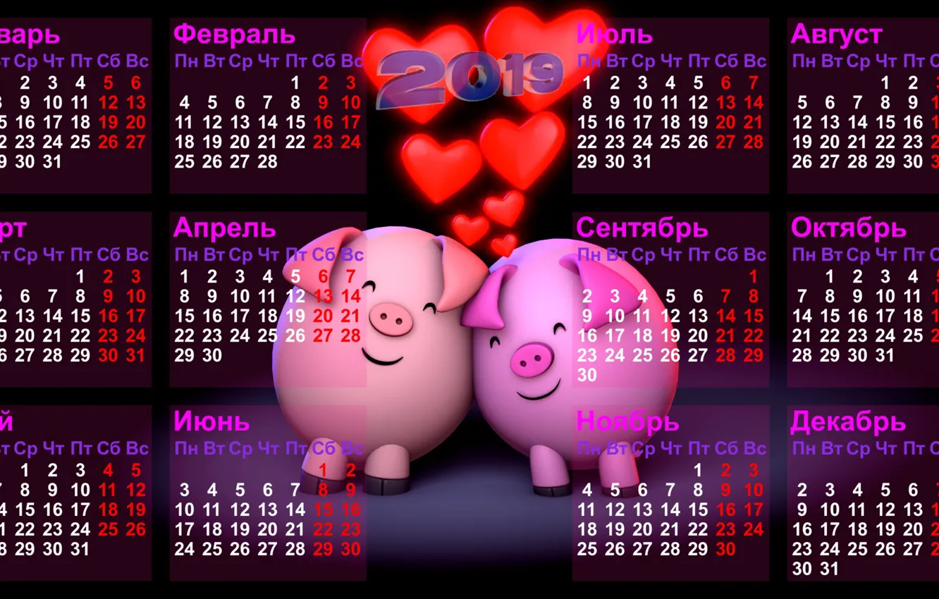Photo wallpaper black background, calendar, number, days, months, weeks, pigs, Two thousand nineteen