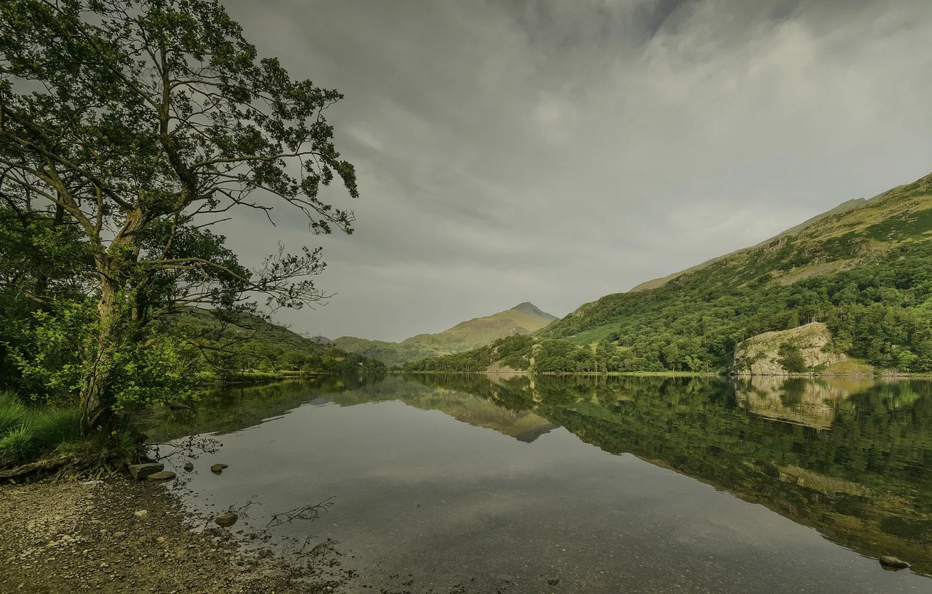 Photo wallpaper Llyn Gwynant, landscape, Wales, mountains, lake, trees