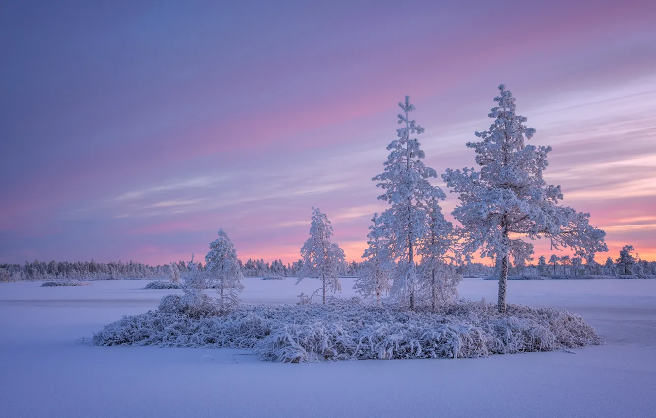 Photo wallpaper winter, snow, trees, sunset, Russia, island, Karelia, frozen lake