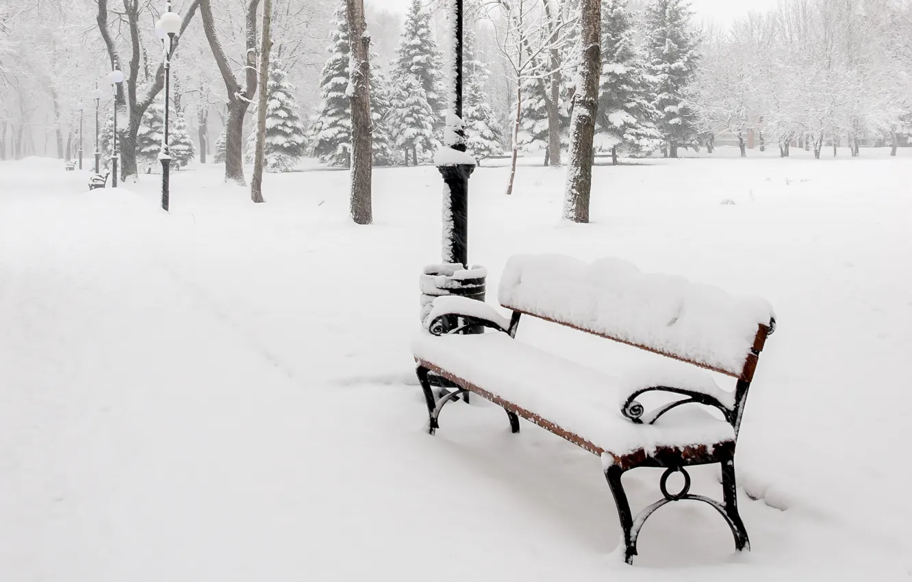 Photo wallpaper winter, snow, trees, bench, nature, Park, shop, lights