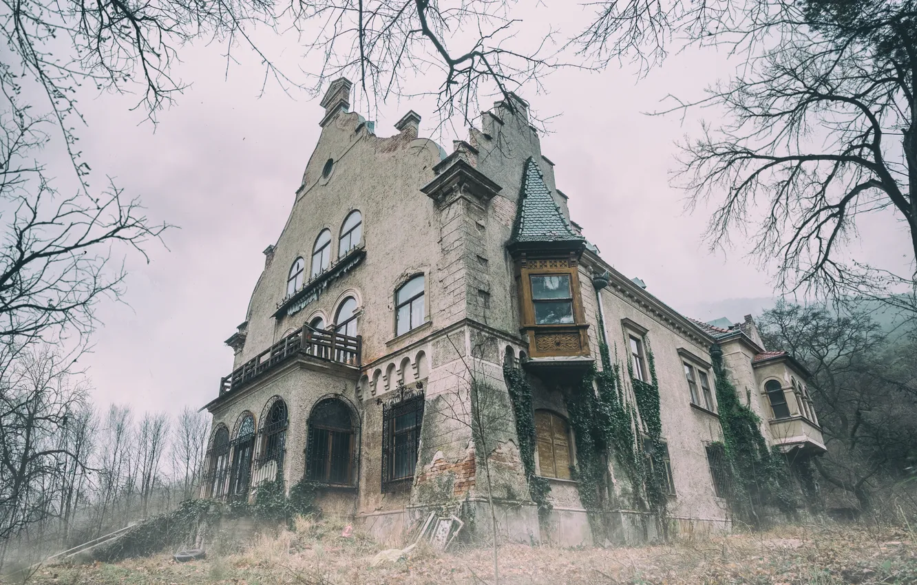 Photo wallpaper the sky, trees, branches, architecture, The abandoned mansion