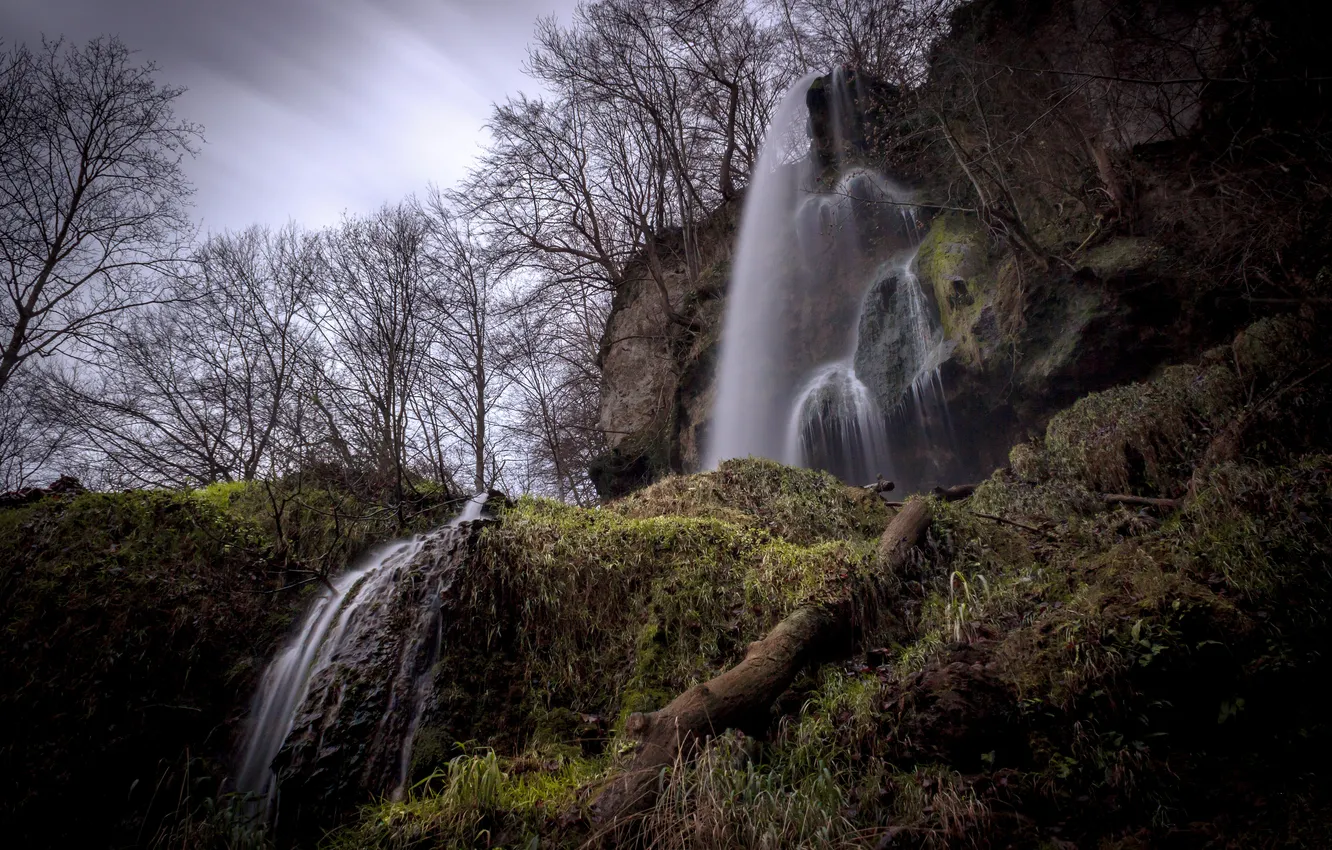 Photo wallpaper forest, grass, trees, overcast, waterfall