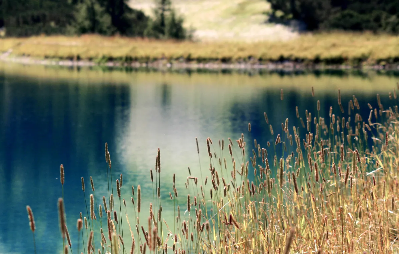 Photo wallpaper nature, lake, river, photo, hills, Wallpaper, glade