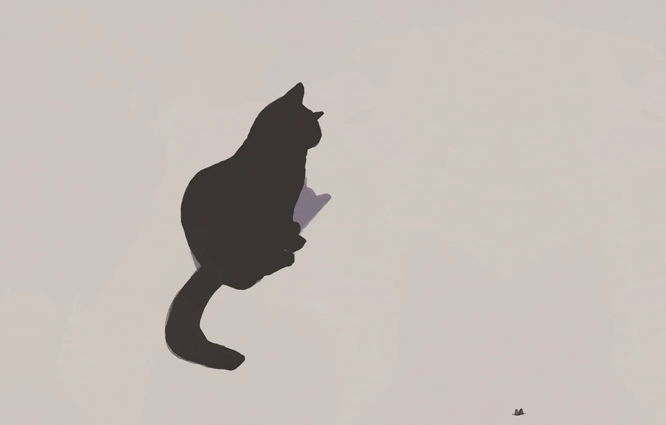 Photo wallpaper shadow, grey background, black cat