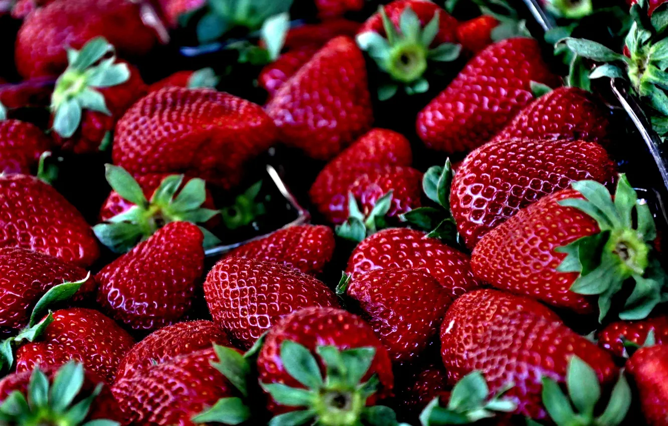 Photo wallpaper Strawberry, Berry, Vitamins