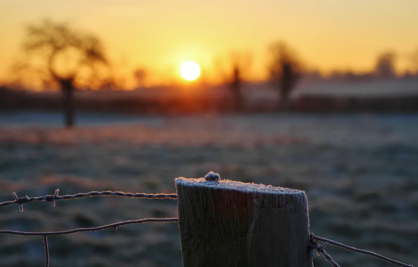 Photo wallpaper frost, the sun, barbed wire