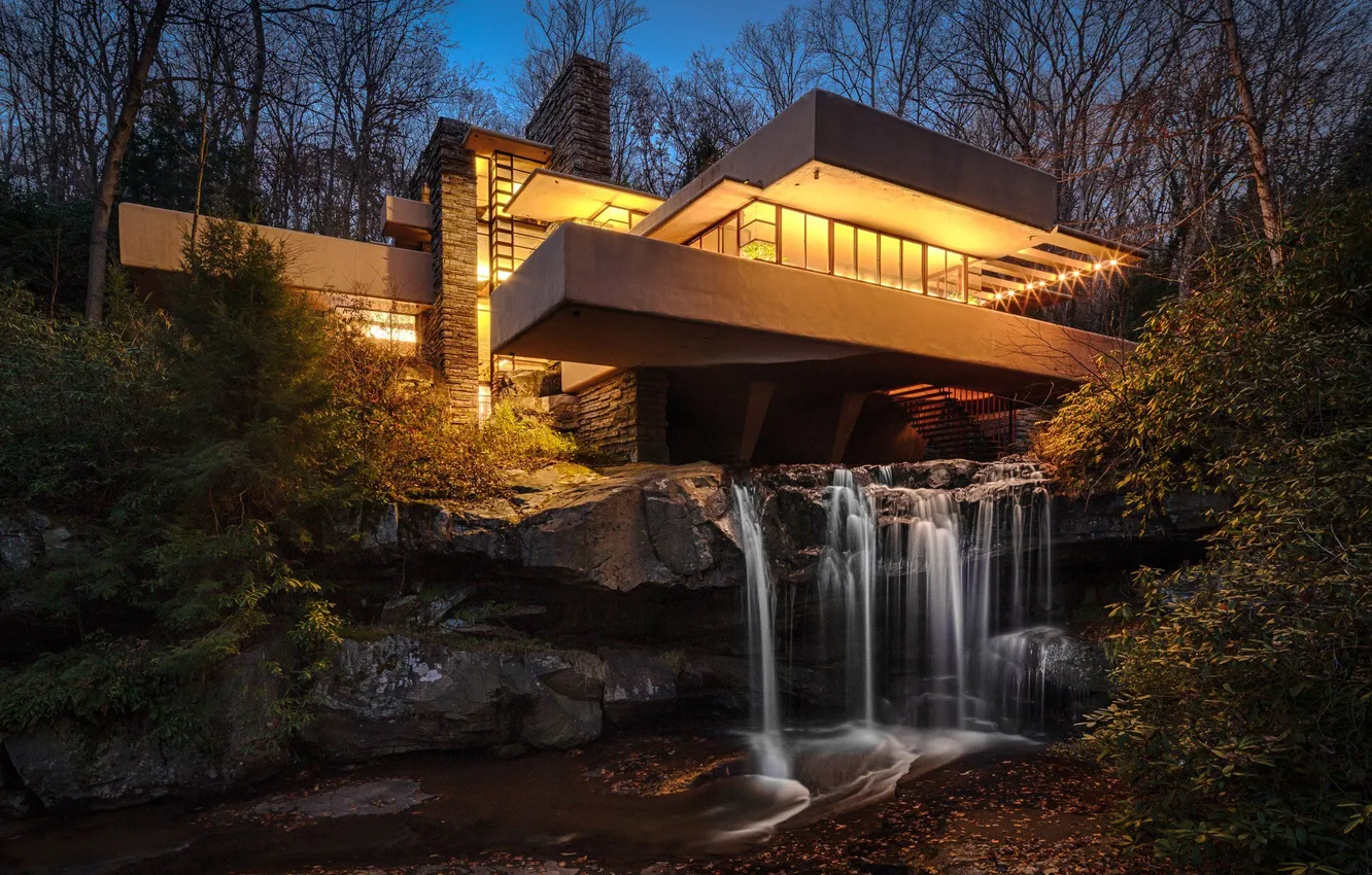 Photo wallpaper forest, the sky, water, landscape, nature, lights, lights, plant