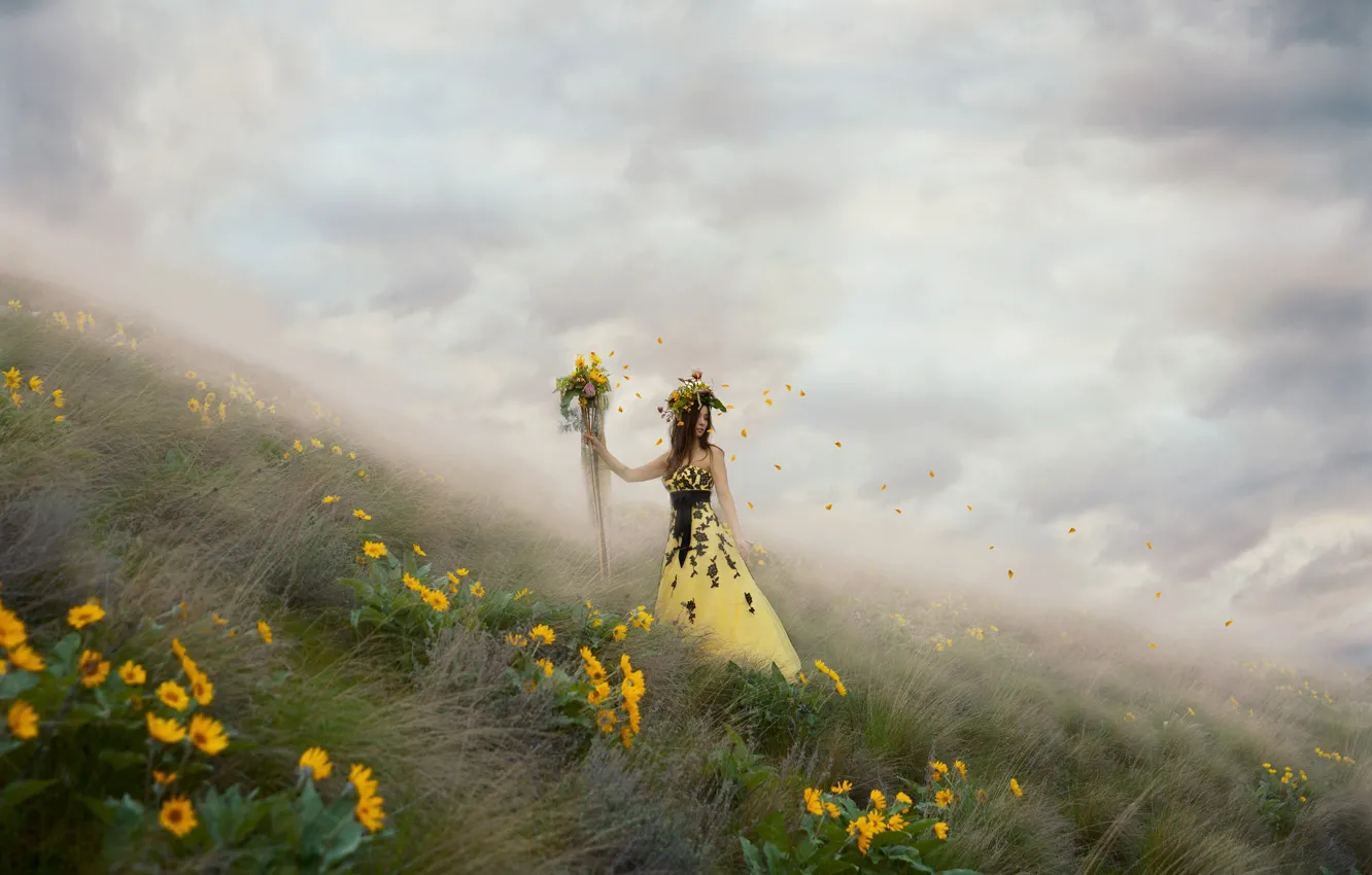 Photo wallpaper girl, flowers, fog, petals, dress