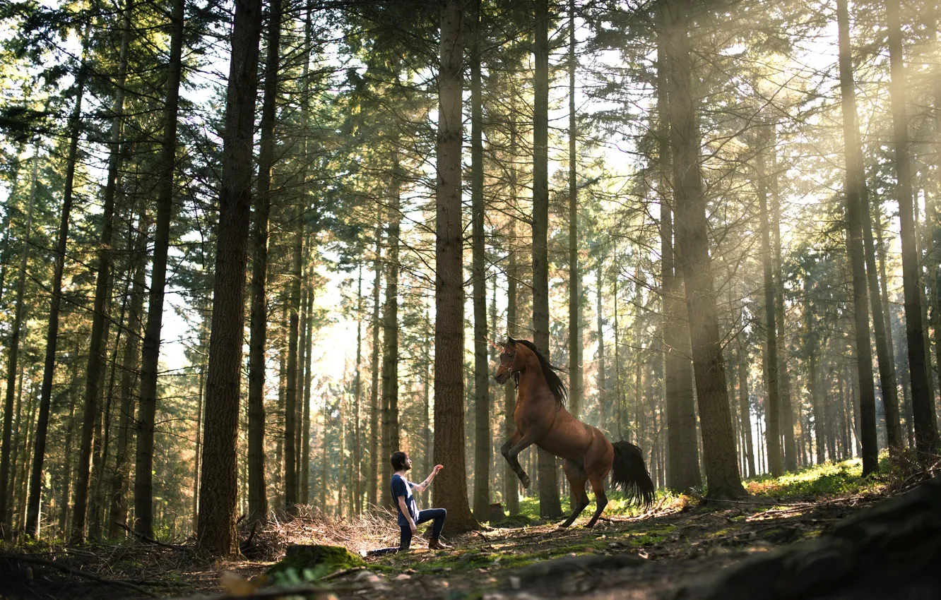 Photo wallpaper forest, horse, meeting, guy, Vincent Bourilhon, the encounter