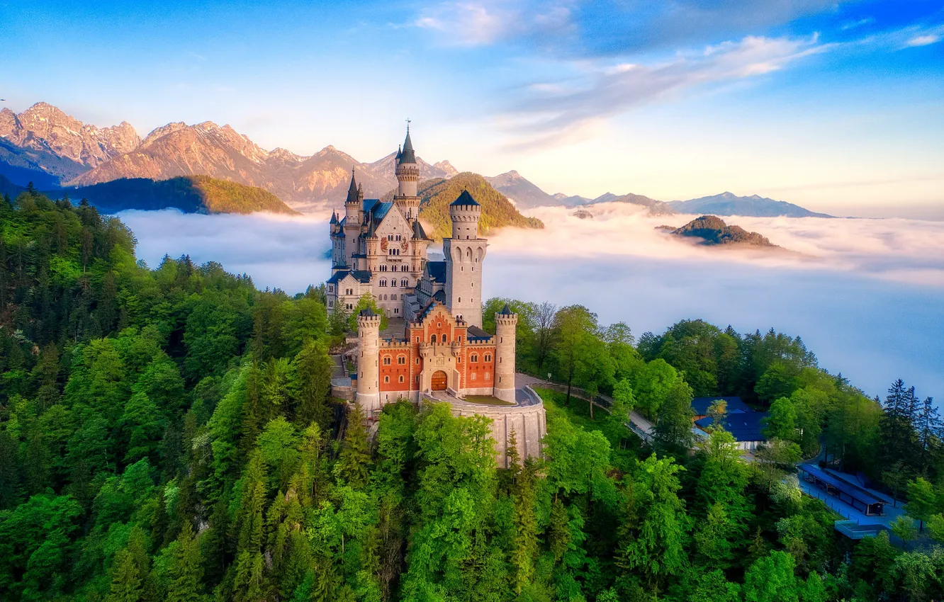 Photo wallpaper forest, castle, Neuschwanstein