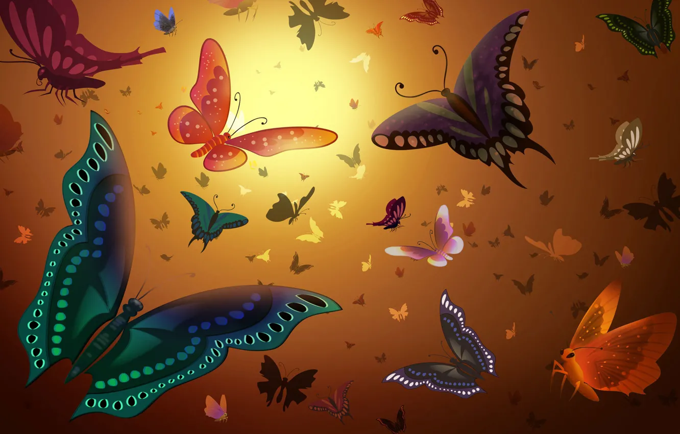 Photo wallpaper butterfly, wings, colorful, fly