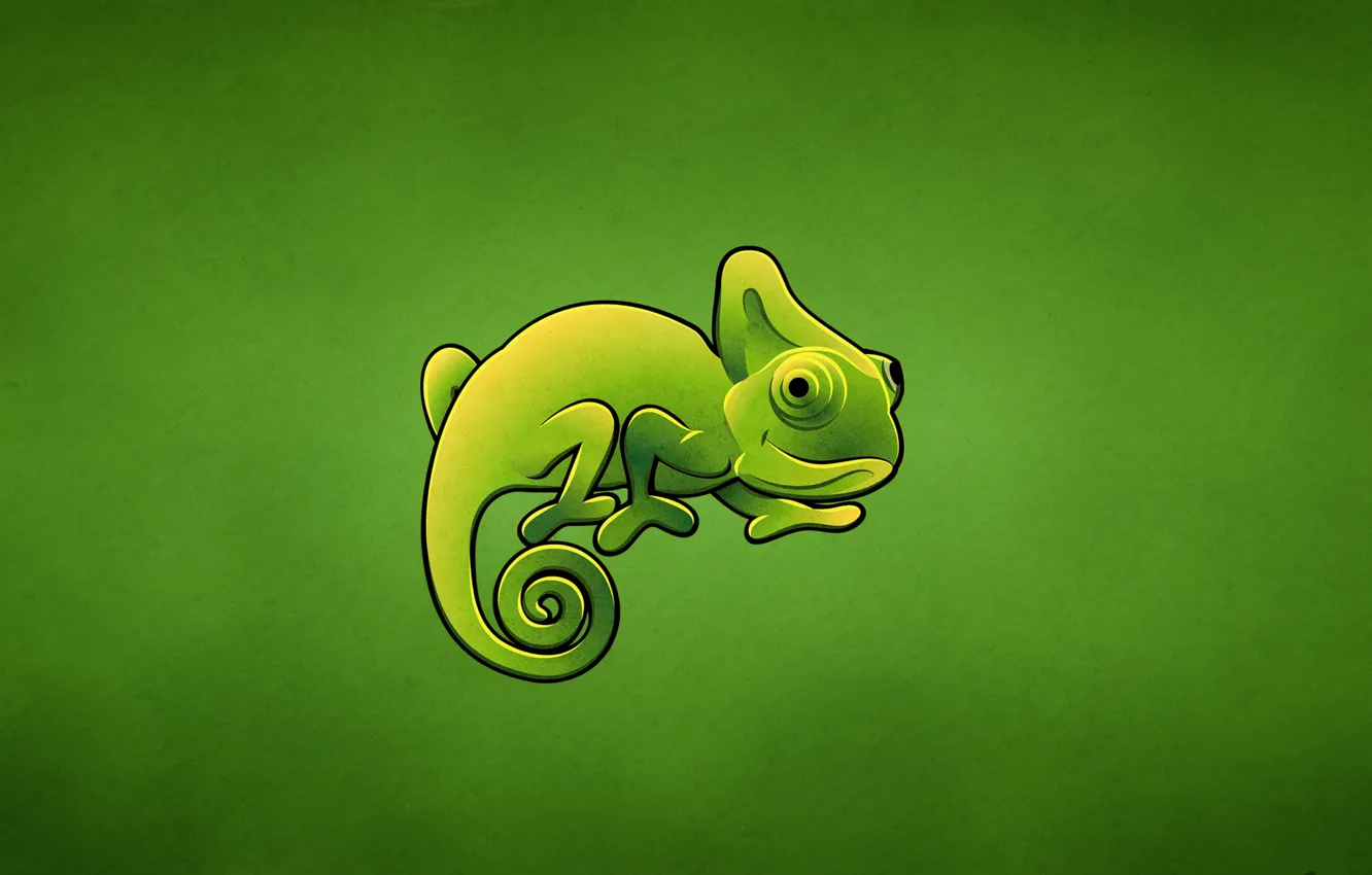 Photo wallpaper green, chameleon, lizard, chameleon