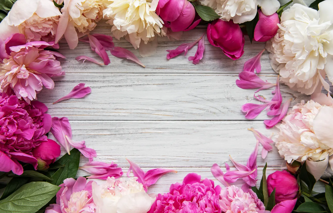 Photo wallpaper flowers, pink, wood, pink, flowers, peonies, peonies