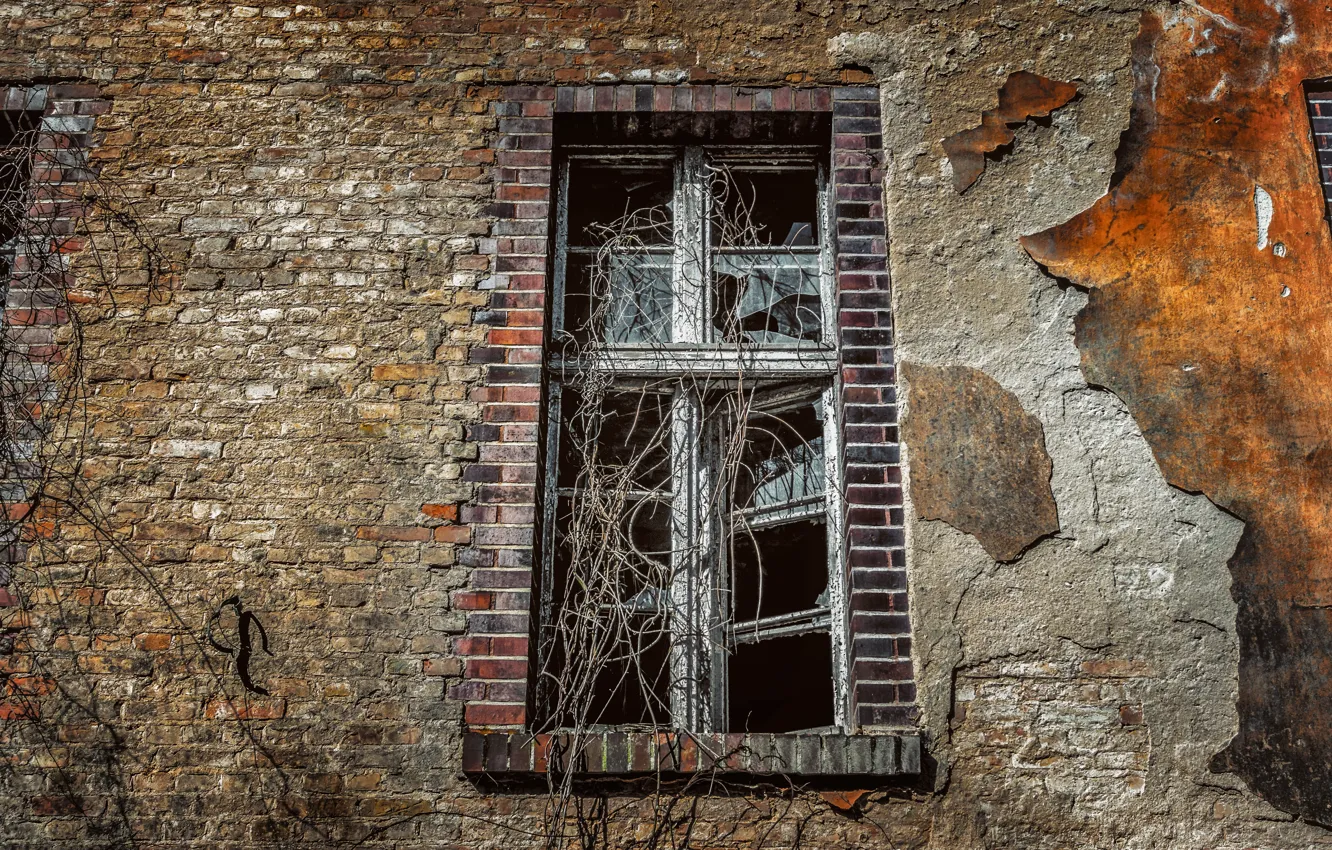 Photo wallpaper wall, brick, window, old, facade, broken glass