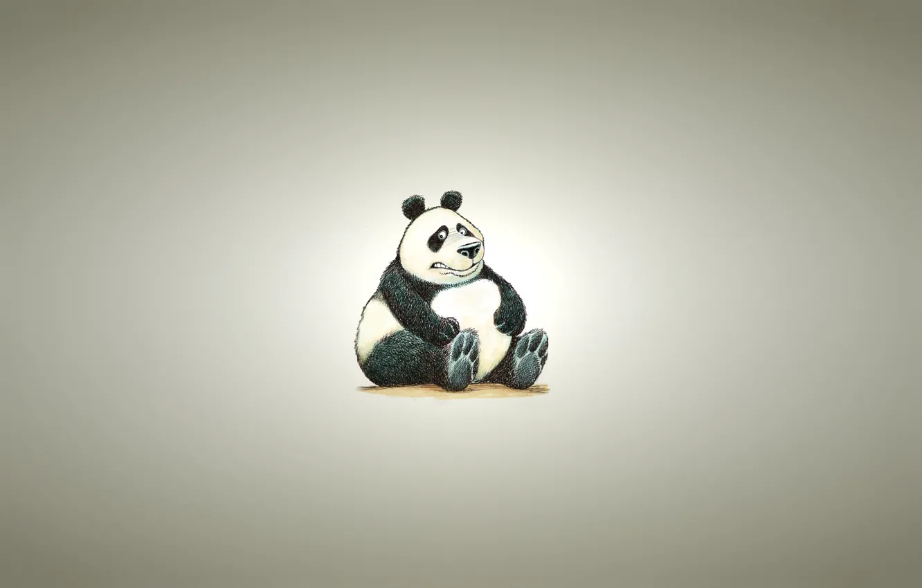 Photo wallpaper background, minimalism, light, Panda, sitting, panda, chubby