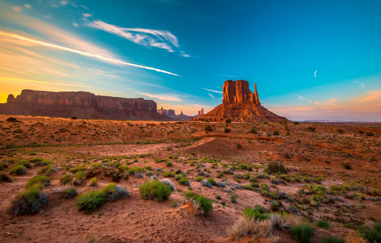Photo wallpaper sand, the sky, mountains, blue, rocks, desert, USA, shrub