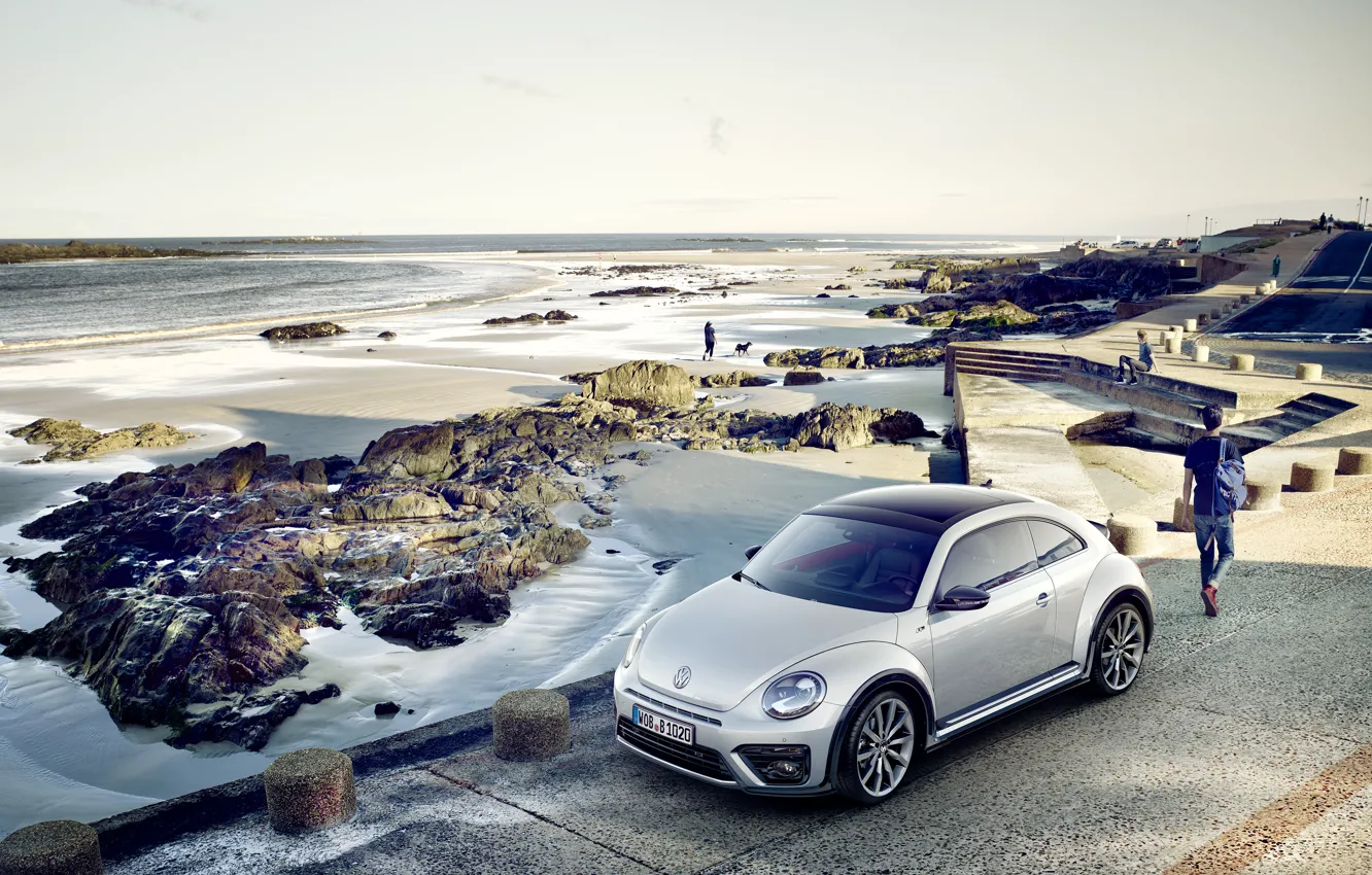 Photo wallpaper beetle, Volkswagen, Volkswagen, Beetle