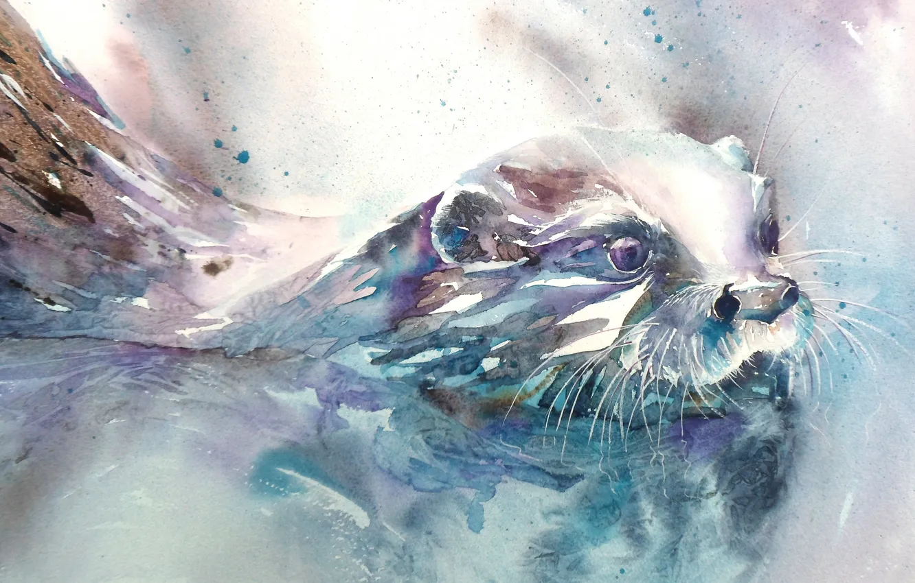 Photo wallpaper muzzle, watercolor, otter, Otter