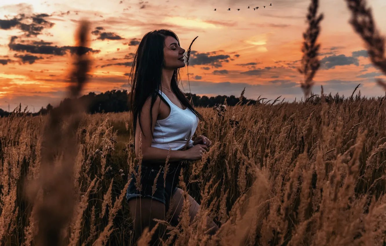 Photo wallpaper girl, clouds, trees, pose, Bogdan Almighty