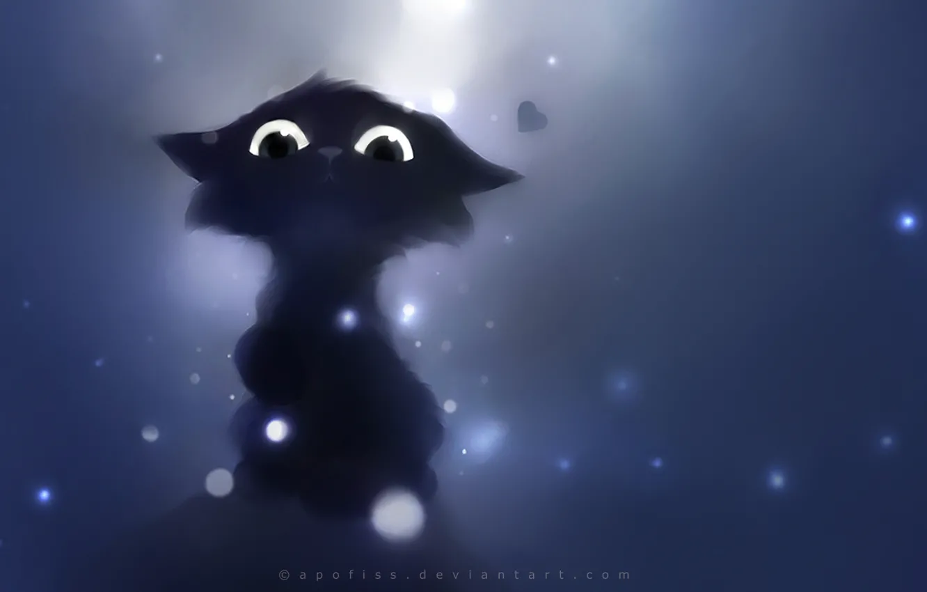 Photo wallpaper cat, look, black, deviantart, Apofiss