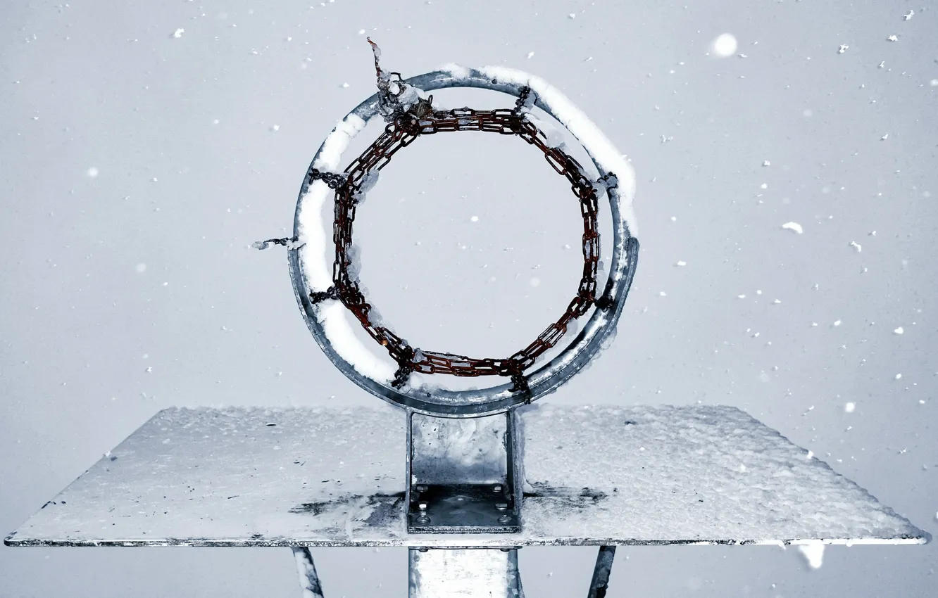 Photo wallpaper ring, Basketball, shield