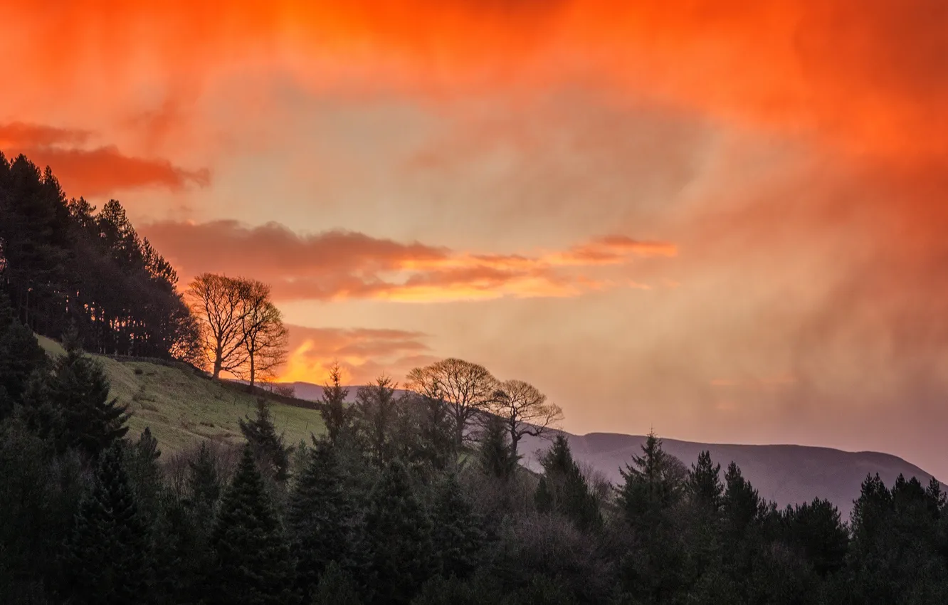 Photo wallpaper clouds, trees, mountains, slope, glow