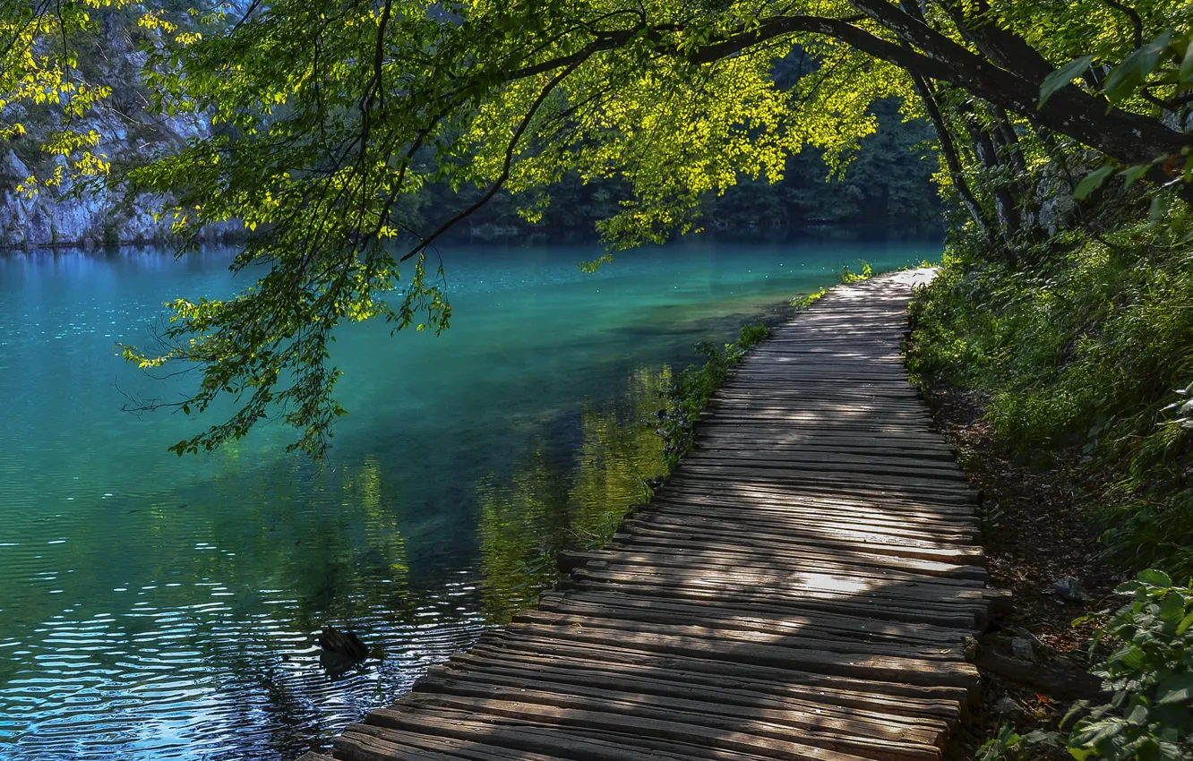 Photo wallpaper summer, water, tree, track, Croatia, Plitvice lakes, Luggage