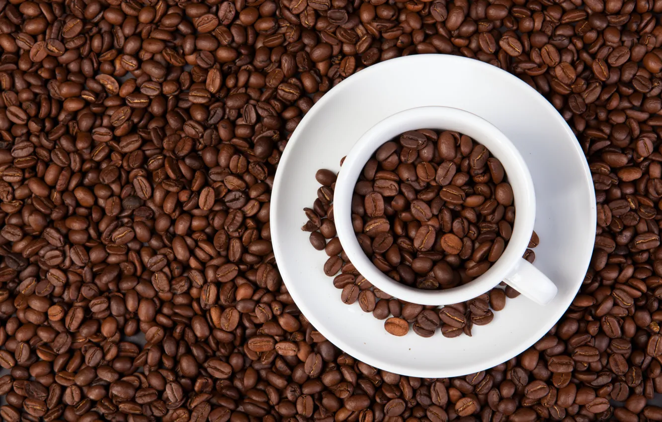 Photo wallpaper coffee, Cup, drink, coffee bean