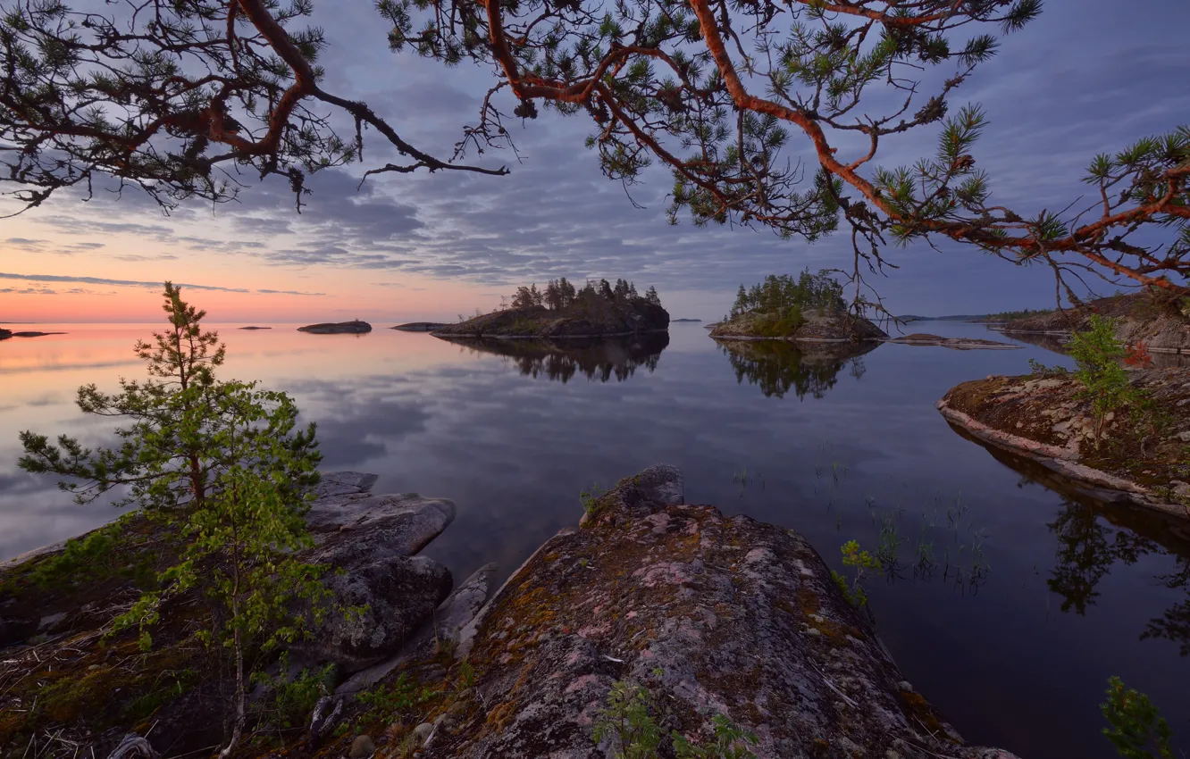 Photo wallpaper water, trees, lake, stones, rocks, pine, Russia, Lake Ladoga