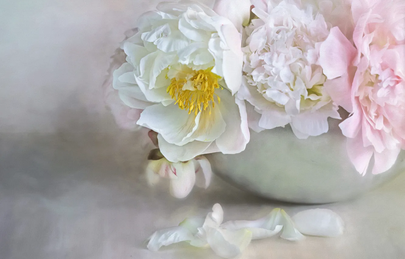 Photo wallpaper flowers, bouquet, bowl, petals, art, pink, white, still life