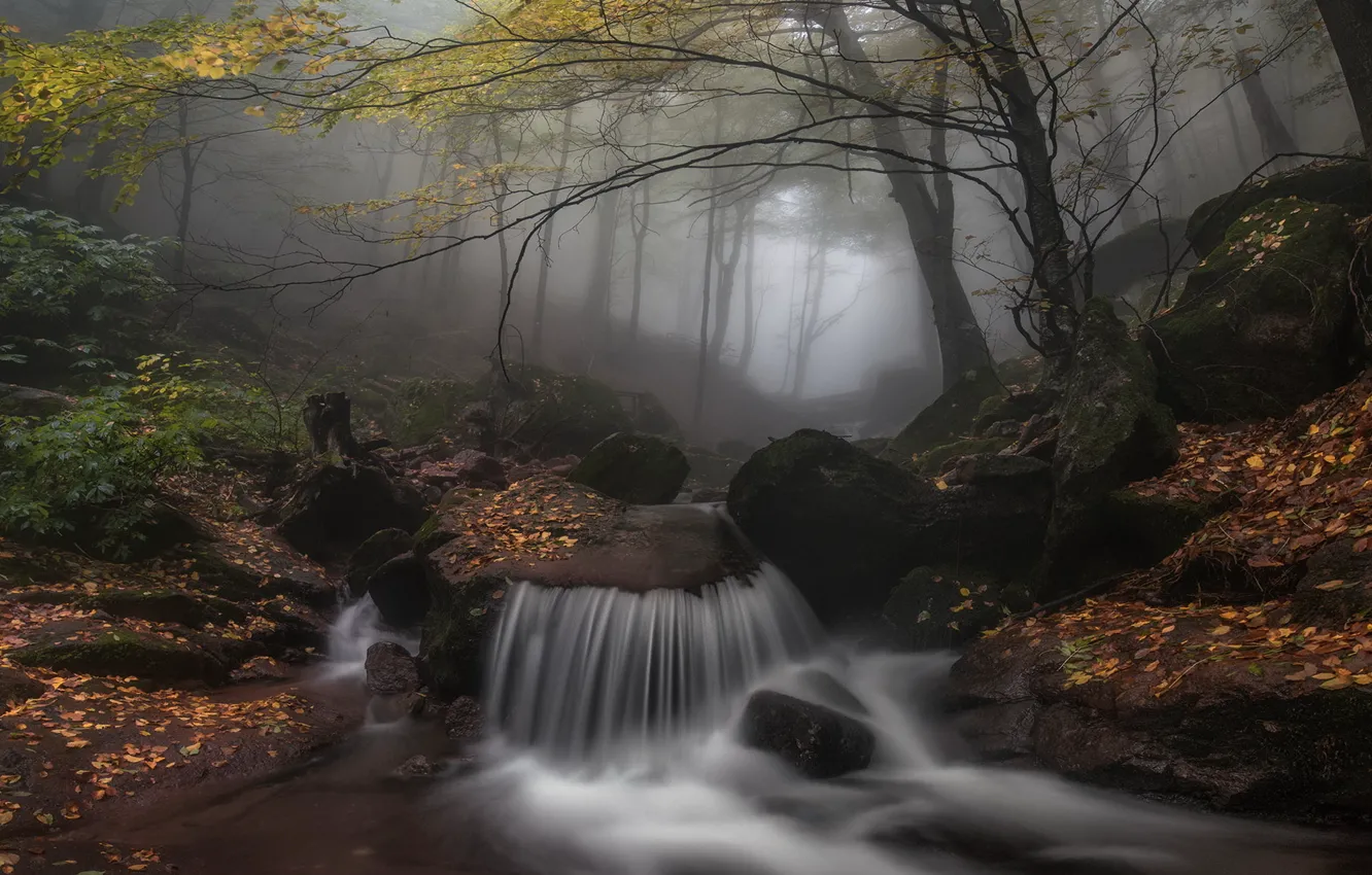 Photo wallpaper autumn, forest, leaves, trees, fog, stones, waterfall, Wallpaper from lolita777